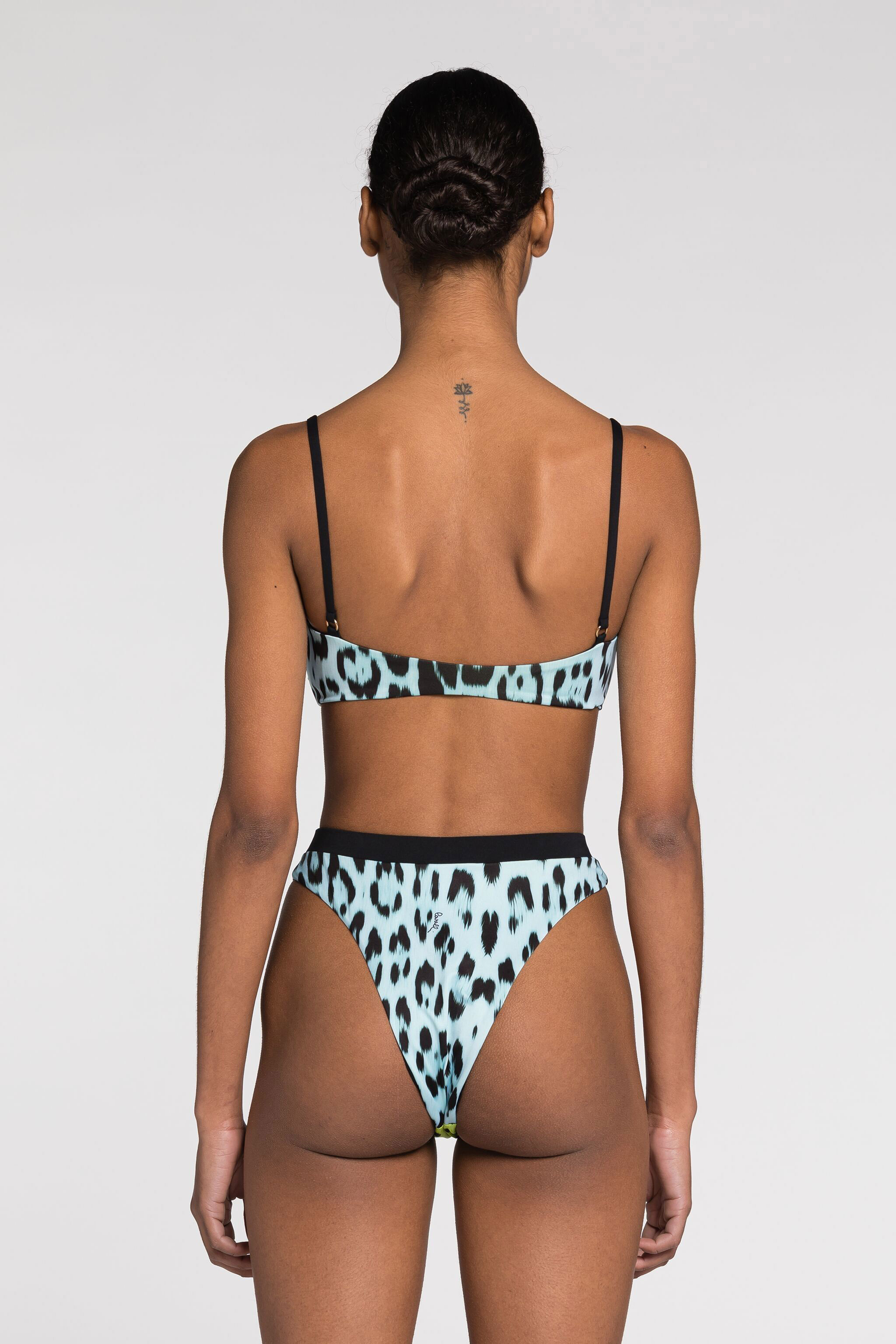 Roberto Cavalli Leopard-print Bikini Bottoms In Light Green